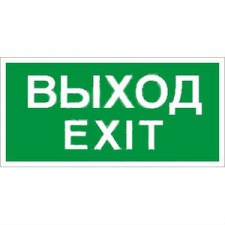 ПЭУ 011 " Выход/Exit" (210х95)